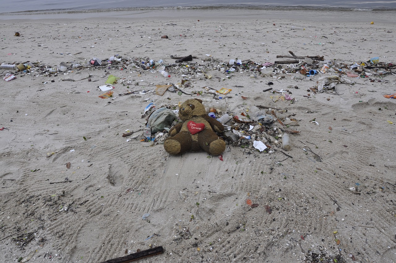The Impact of Single-Use Plastic on Our Ecosystem
